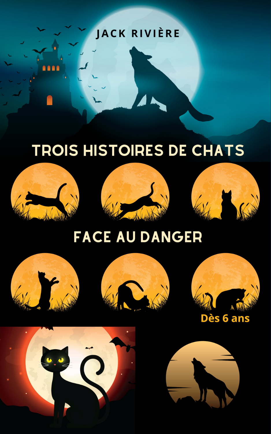Three stories of cats in danger